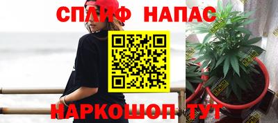 прущие грибы Нальчик