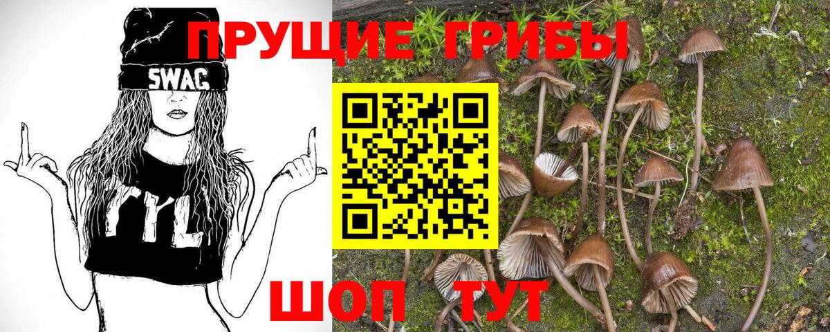 Псилоцибиновые грибы ЛСД  Вход с VPN  Ульяновск 