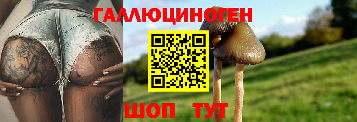 Псилоцибиновые грибы Cubensis Ульяновск
